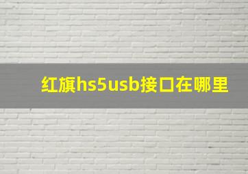 红旗hs5usb接口在哪里