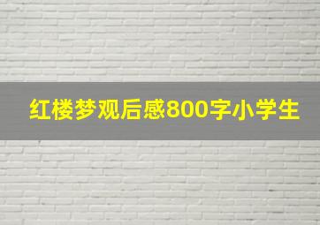 红楼梦观后感800字小学生