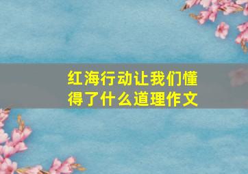 红海行动让我们懂得了什么道理作文