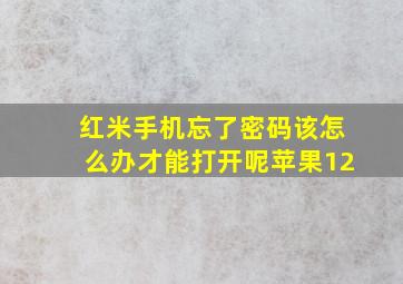 红米手机忘了密码该怎么办才能打开呢苹果12