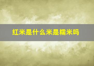 红米是什么米是糯米吗