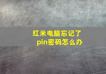 红米电脑忘记了pin密码怎么办