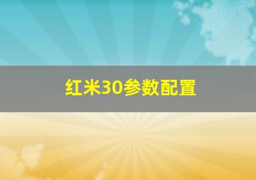 红米30参数配置