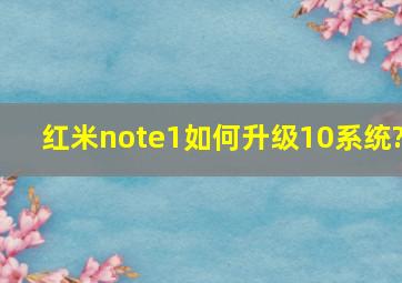 红米note1如何升级10系统?