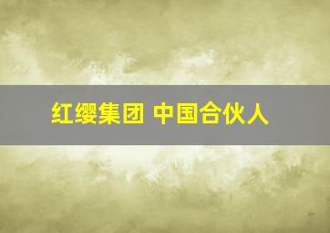 红缨集团 中国合伙人