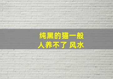 纯黑的猫一般人养不了 风水