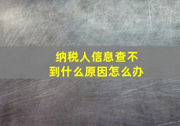 纳税人信息查不到什么原因怎么办