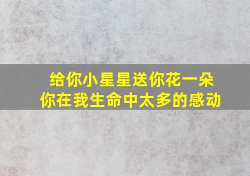 给你小星星送你花一朵你在我生命中太多的感动