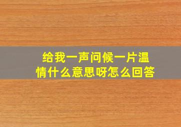 给我一声问候一片温情什么意思呀怎么回答