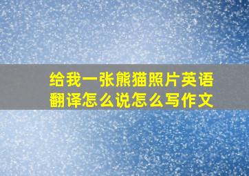 给我一张熊猫照片英语翻译怎么说怎么写作文