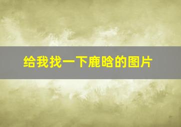 给我找一下鹿晗的图片