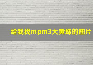 给我找mpm3大黄蜂的图片