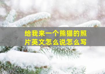 给我来一个熊猫的照片英文怎么说怎么写