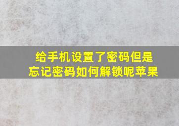 给手机设置了密码但是忘记密码如何解锁呢苹果