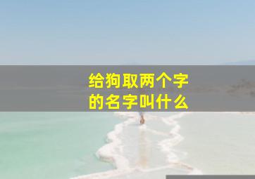 给狗取两个字的名字叫什么