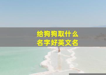 给狗狗取什么名字好英文名