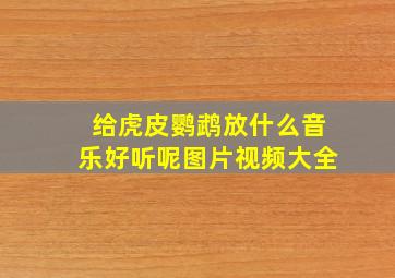 给虎皮鹦鹉放什么音乐好听呢图片视频大全