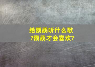 给鹦鹉听什么歌?鹦鹉才会喜欢?