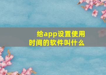 给app设置使用时间的软件叫什么