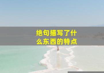 绝句描写了什么东西的特点