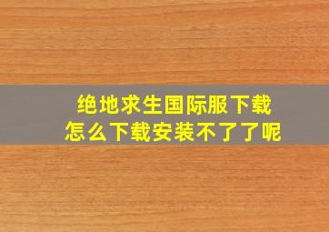 绝地求生国际服下载怎么下载安装不了了呢