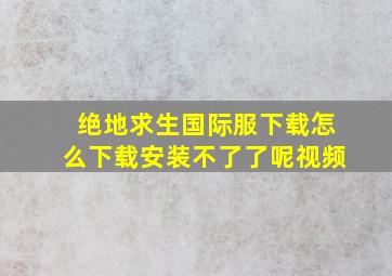 绝地求生国际服下载怎么下载安装不了了呢视频