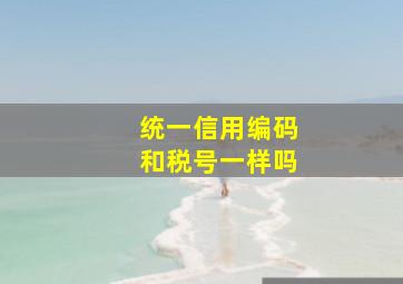 统一信用编码和税号一样吗