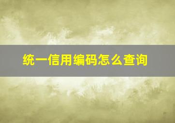 统一信用编码怎么查询