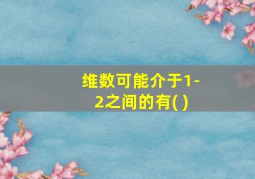 维数可能介于1-2之间的有( )