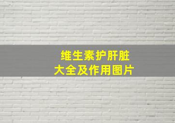 维生素护肝脏大全及作用图片