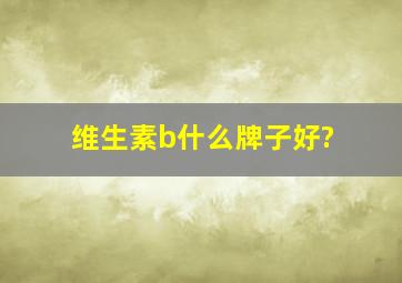 维生素b什么牌子好?