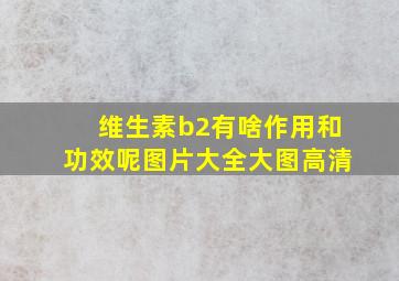 维生素b2有啥作用和功效呢图片大全大图高清