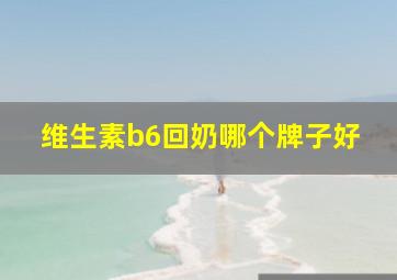 维生素b6回奶哪个牌子好