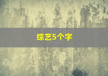 综艺5个字