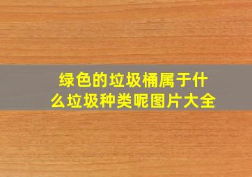 绿色的垃圾桶属于什么垃圾种类呢图片大全