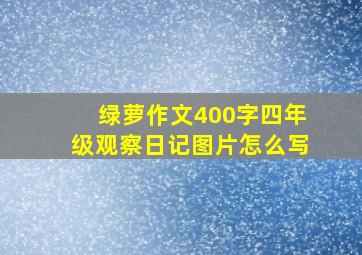 绿萝作文400字四年级观察日记图片怎么写