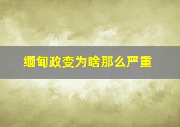 缅甸政变为啥那么严重