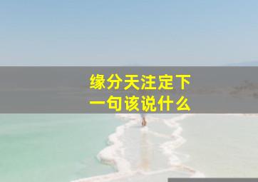 缘分天注定下一句该说什么