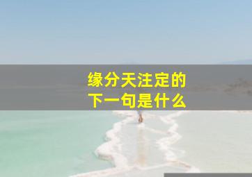 缘分天注定的下一句是什么