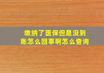 缴纳了医保但是没到账怎么回事啊怎么查询