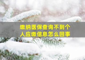 缴纳医保查询不到个人应缴信息怎么回事