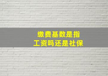 缴费基数是指工资吗还是社保