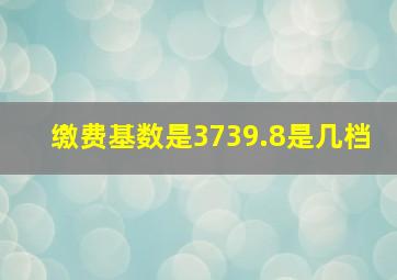 缴费基数是3739.8是几档