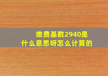 缴费基数2940是什么意思呀怎么计算的