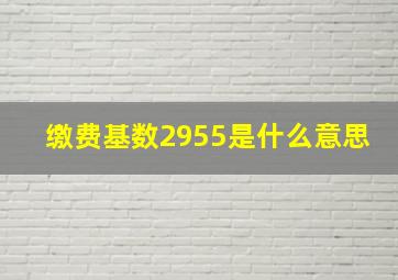 缴费基数2955是什么意思