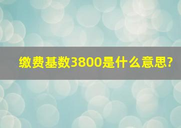 缴费基数3800是什么意思?