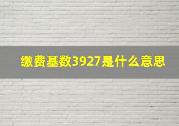 缴费基数3927是什么意思