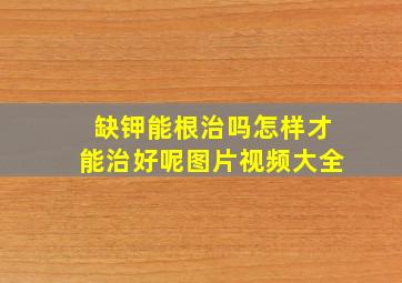 缺钾能根治吗怎样才能治好呢图片视频大全