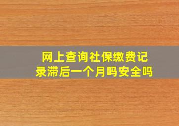 网上查询社保缴费记录滞后一个月吗安全吗