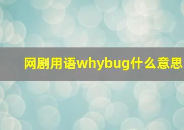 网剧用语whybug什么意思